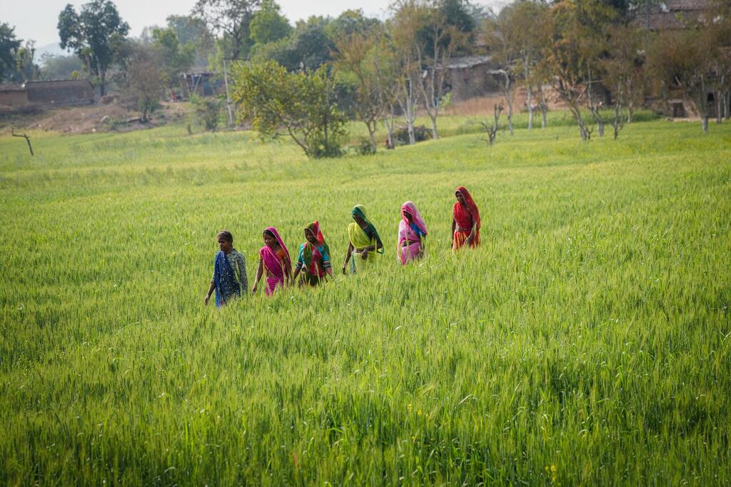 L'ONU estime qu'il faut aider les pays en développement à obtenir les financements dont ils ont besoin.